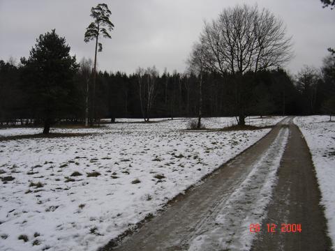 Tisvilde Hegn, december 2004.