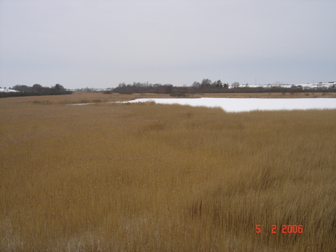 Naturreservatet ved Gundsmagle s, februar 2006.