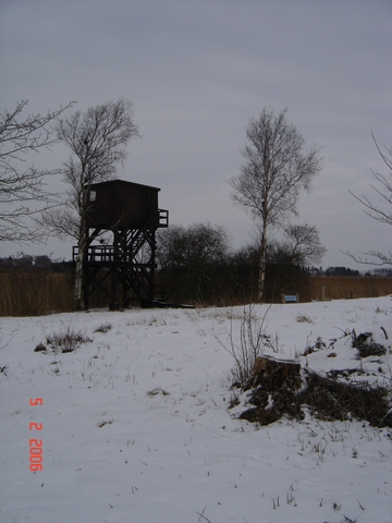 Fugletrn i naturreservatet ved Gundsmagle s, februar 2006.