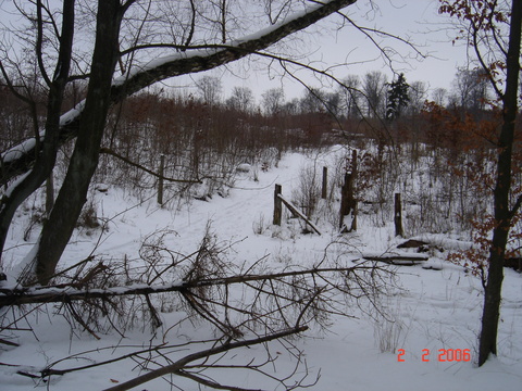 Slagslunde skov, 02.02.2006