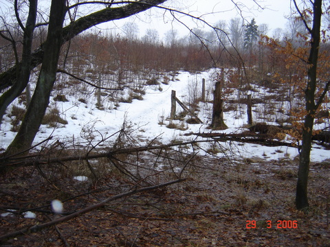 Slagslunde skov, 29.03.2006