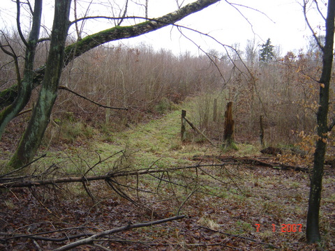 Slagslunde skov, 07.01.2007